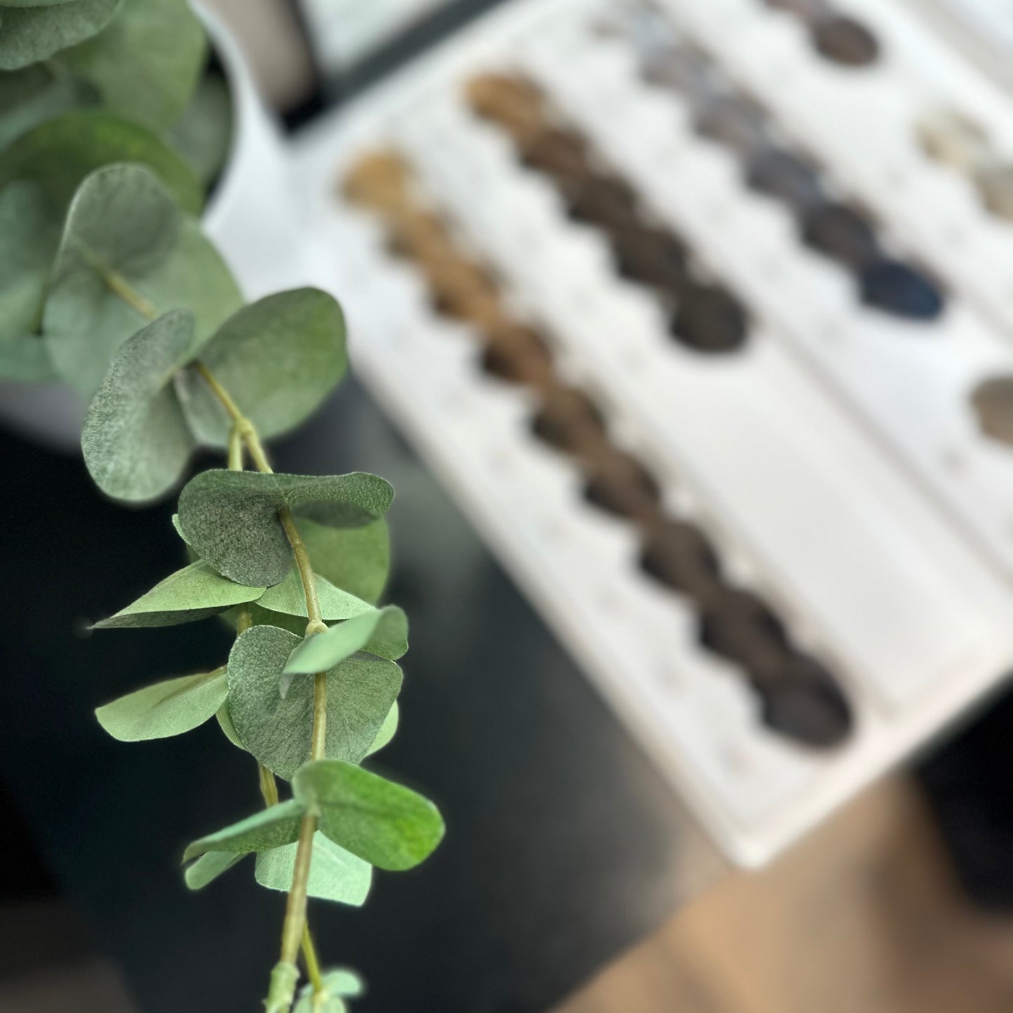 "Chao Canas Mantención by Caro" Recubrimiento de canas (hasta 5 cm) o matización + Lavado + Tratamiento profundo + Definición + Asesoría personalizada (VALOR RESERVA)